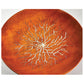 Mother of Pearl Inlay Material - Flake - 1 oz alt 0