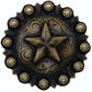 Star Conch Knob, Brass Oxide alt 0