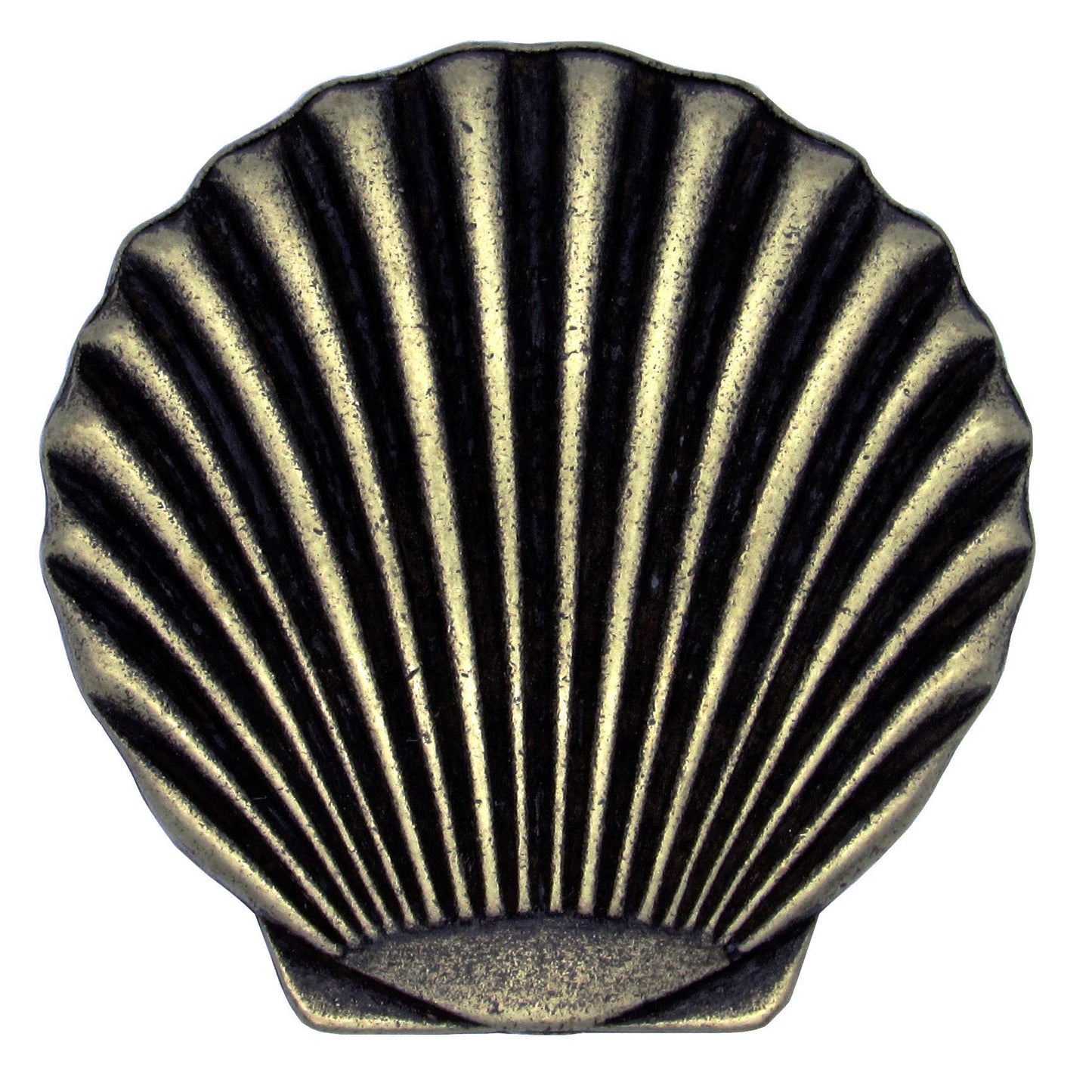 Scallop Seashell Knob, Brass Oxide alt 0