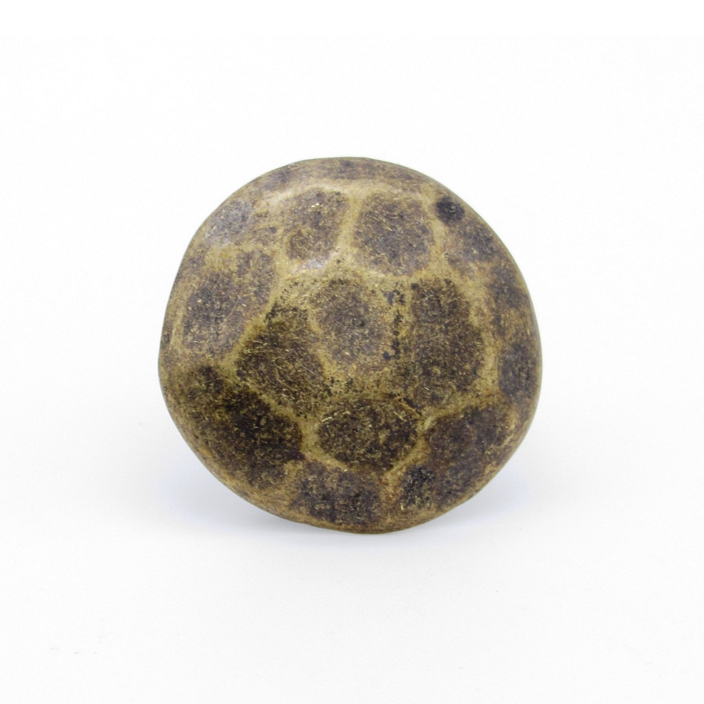Round 1-1/8" Clavo Decorative Nail, 8-Pack, Brass Oxide alt 0
