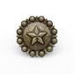 Star Clavo Decorative Nail, 8-Pack, Brass Oxide alt 0