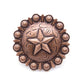 Star Clavo Decorative Nail, 4-Pack, Copper Oxide alt 0