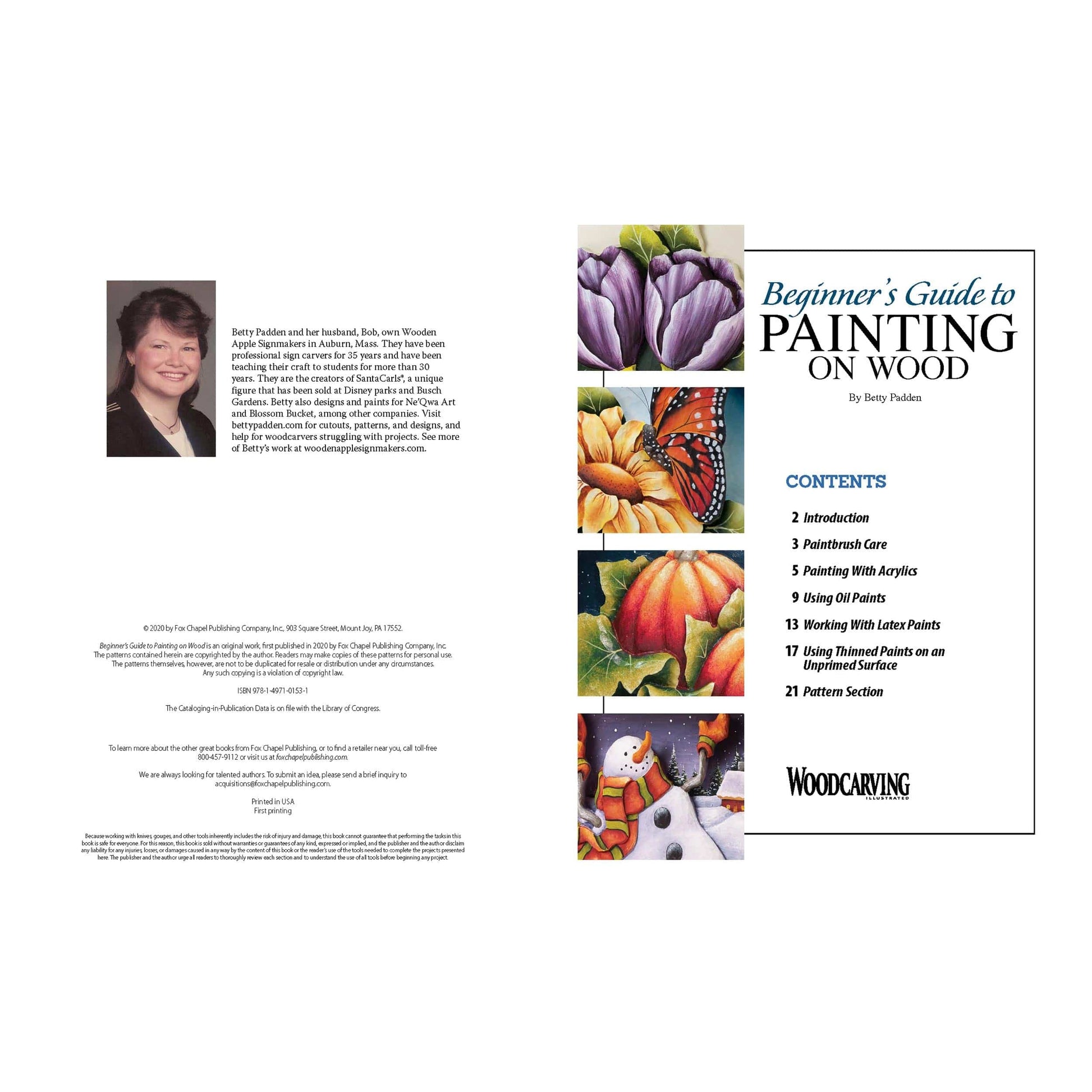 Beginner's Guide to Painting on Wood alt 0