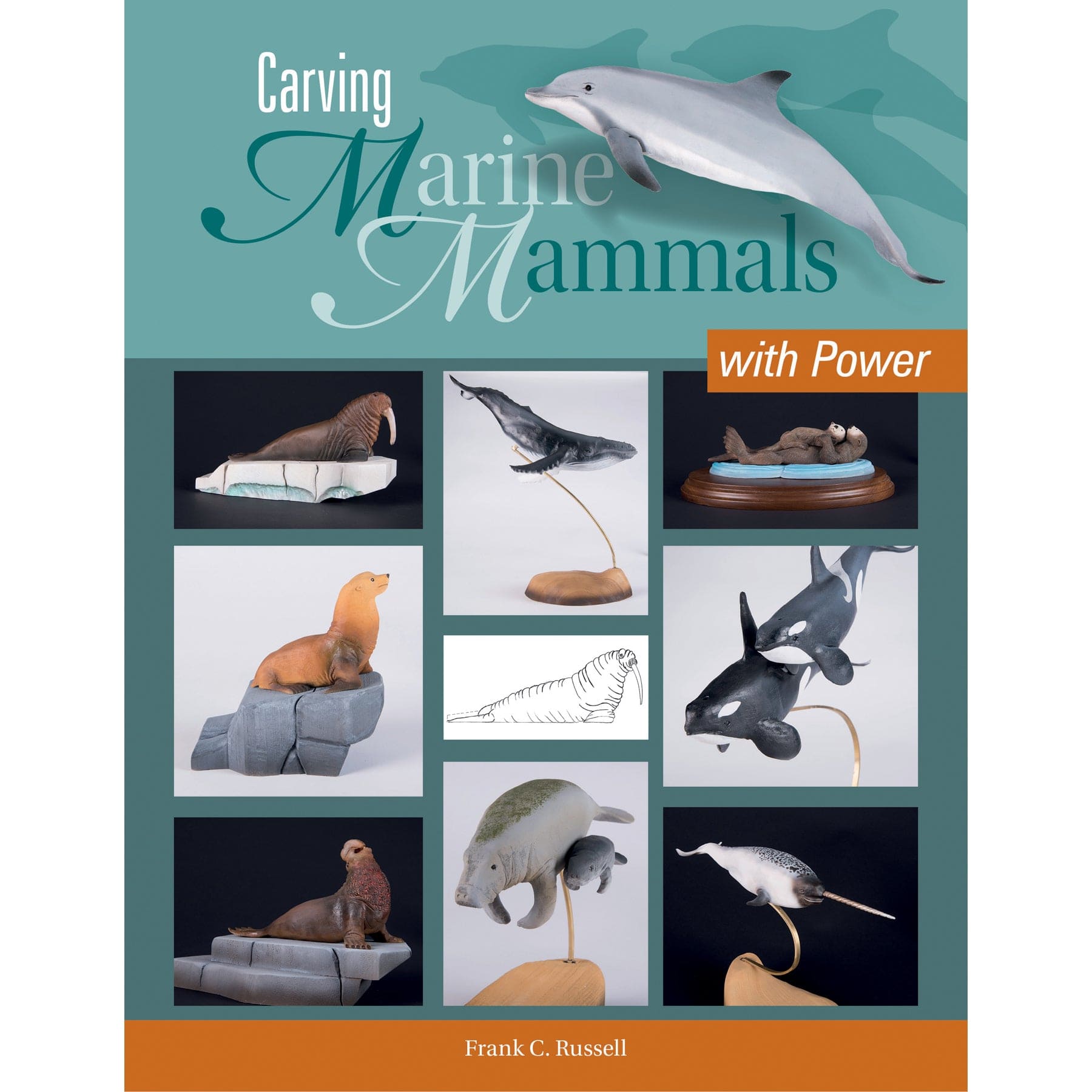 Carving Marine Mammals alt 0