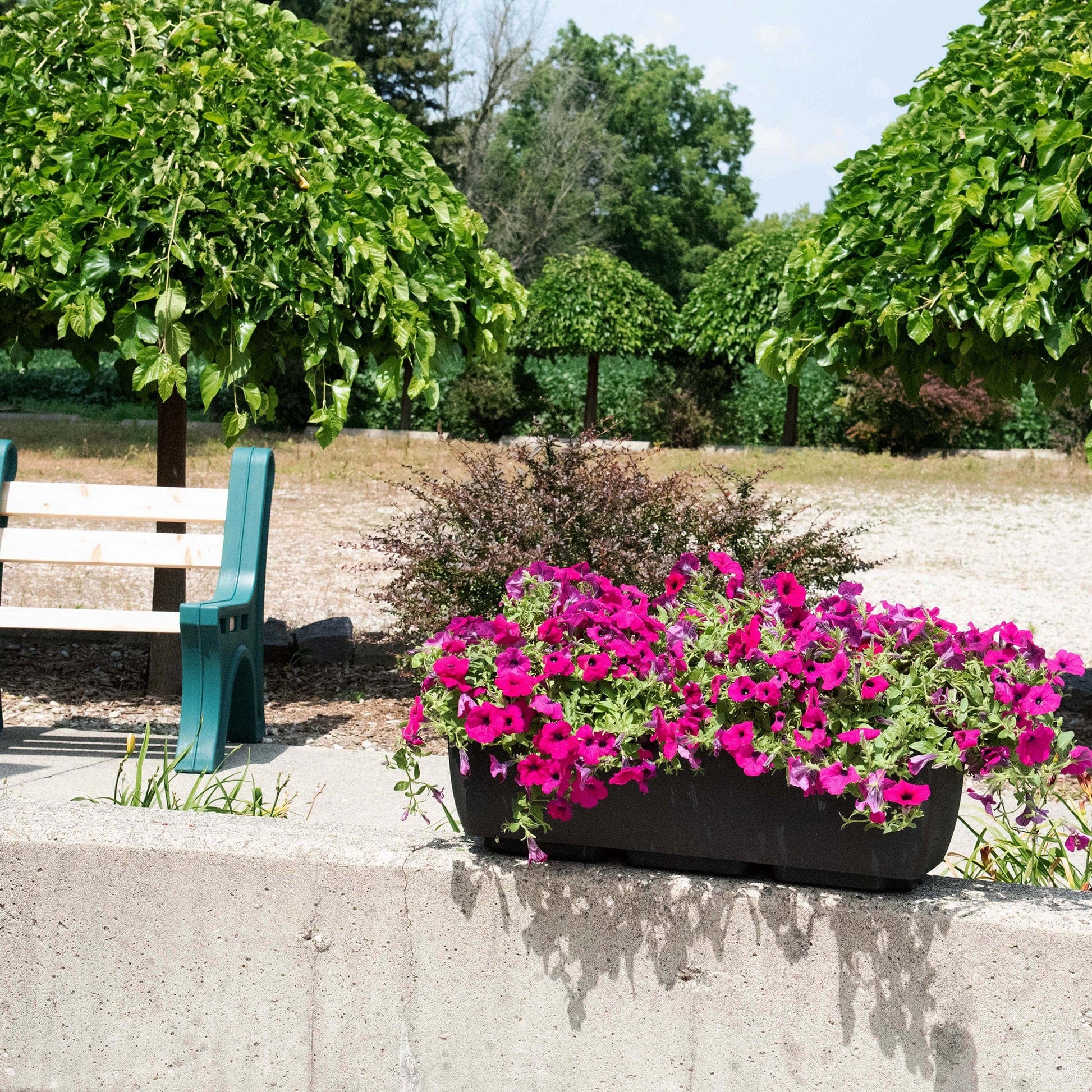 36" x 15" Rectangular Planter Black alt 3