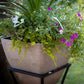 12" Square Garden Planter with Wrought Iron Stand Oak alt 5