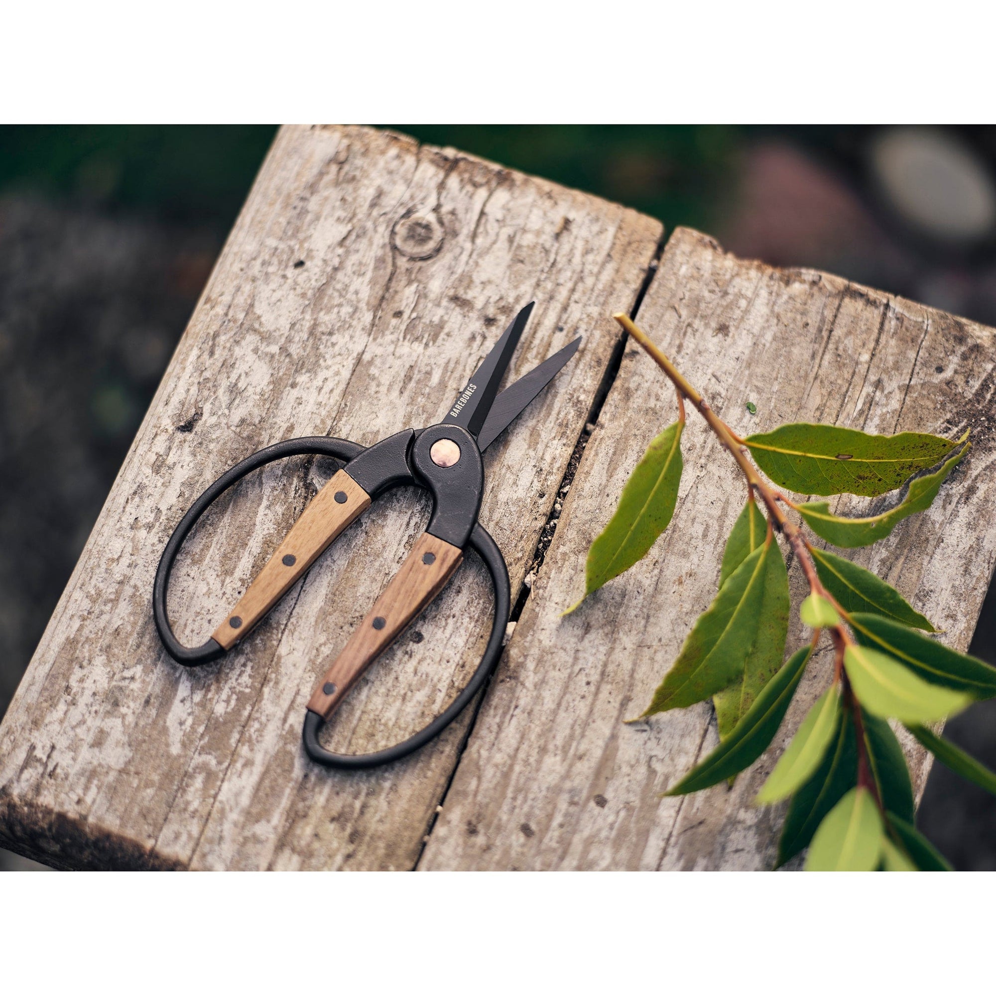 Garden Scissors Small alt 3