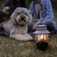 Railroad Lantern Slate Gray alt 0