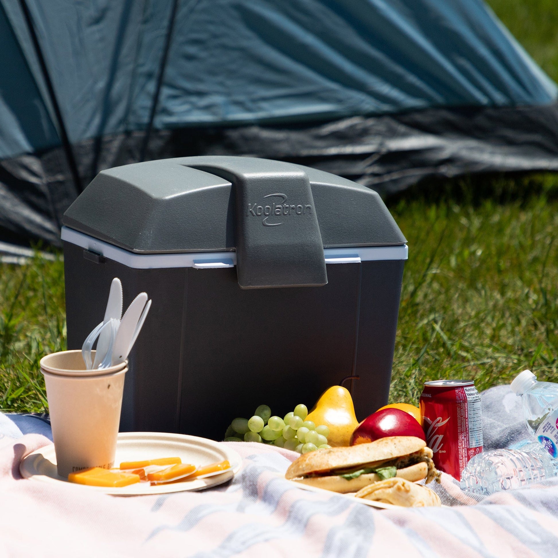 Traveller lll Portable Warmer/Cooler 12V alt 0
