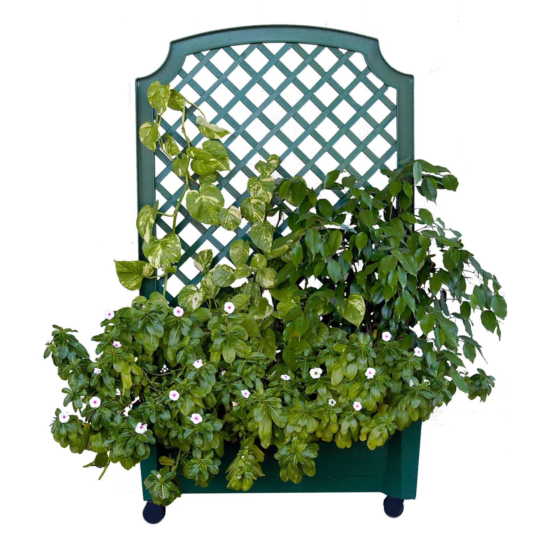 calypso planter with trellis Calypso Planter Trellis Green