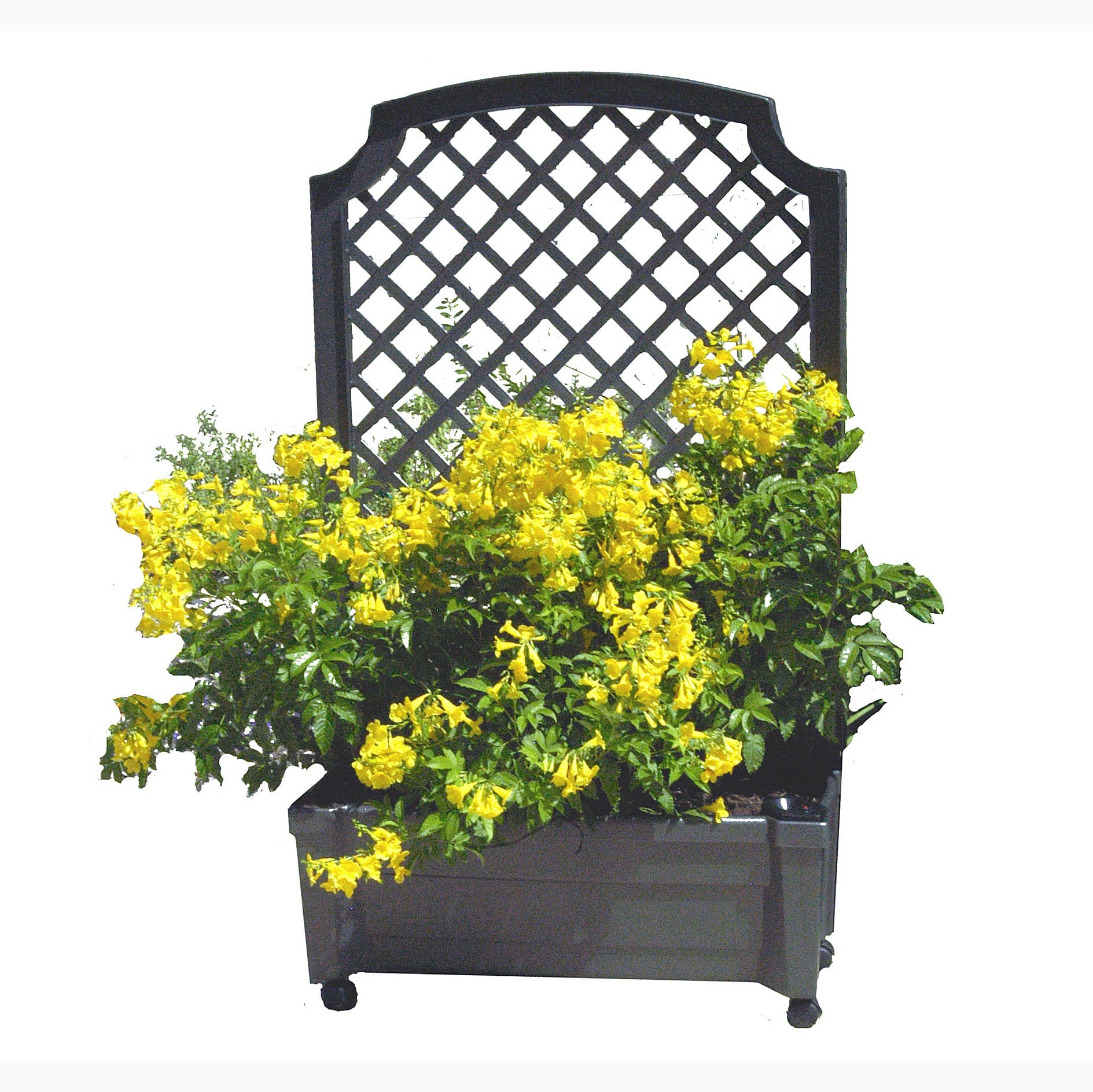 exaco calypso planter with trellis Calypso Planter with Trellis, Grey