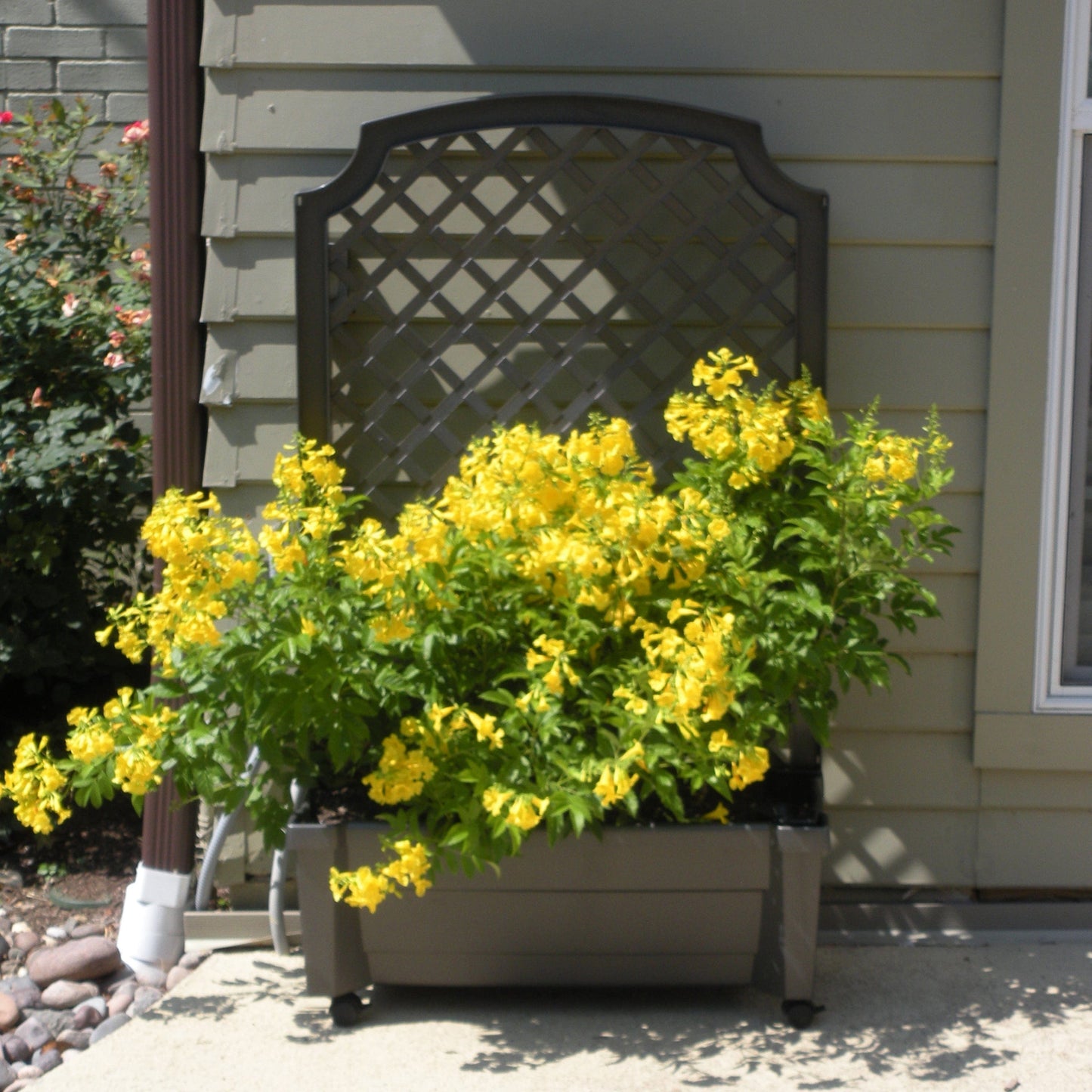 Calypso Planter Trellis Anthracite Gray alt 0