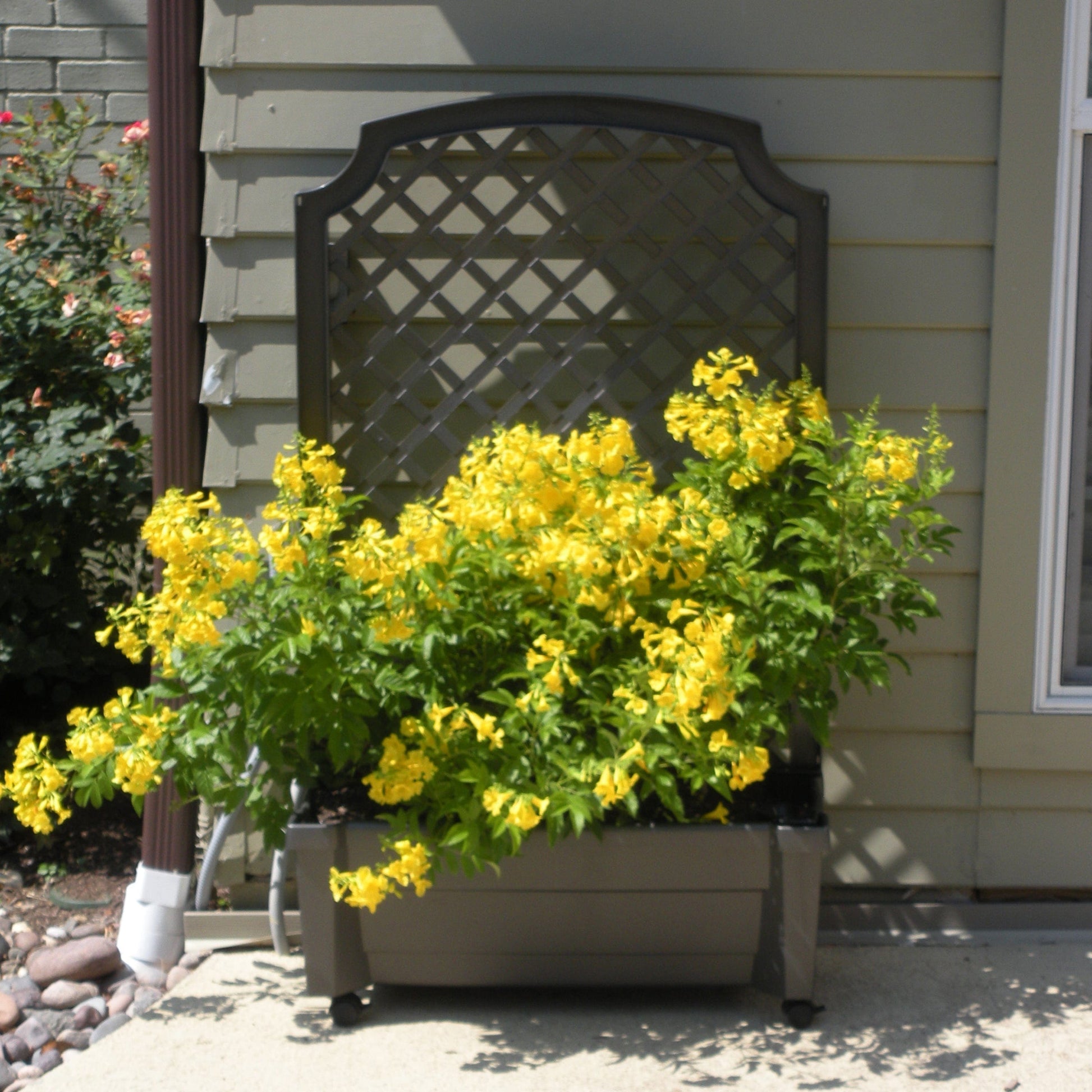 exaco calypso planter with trellis Calypso Planter with Trellis, Grey