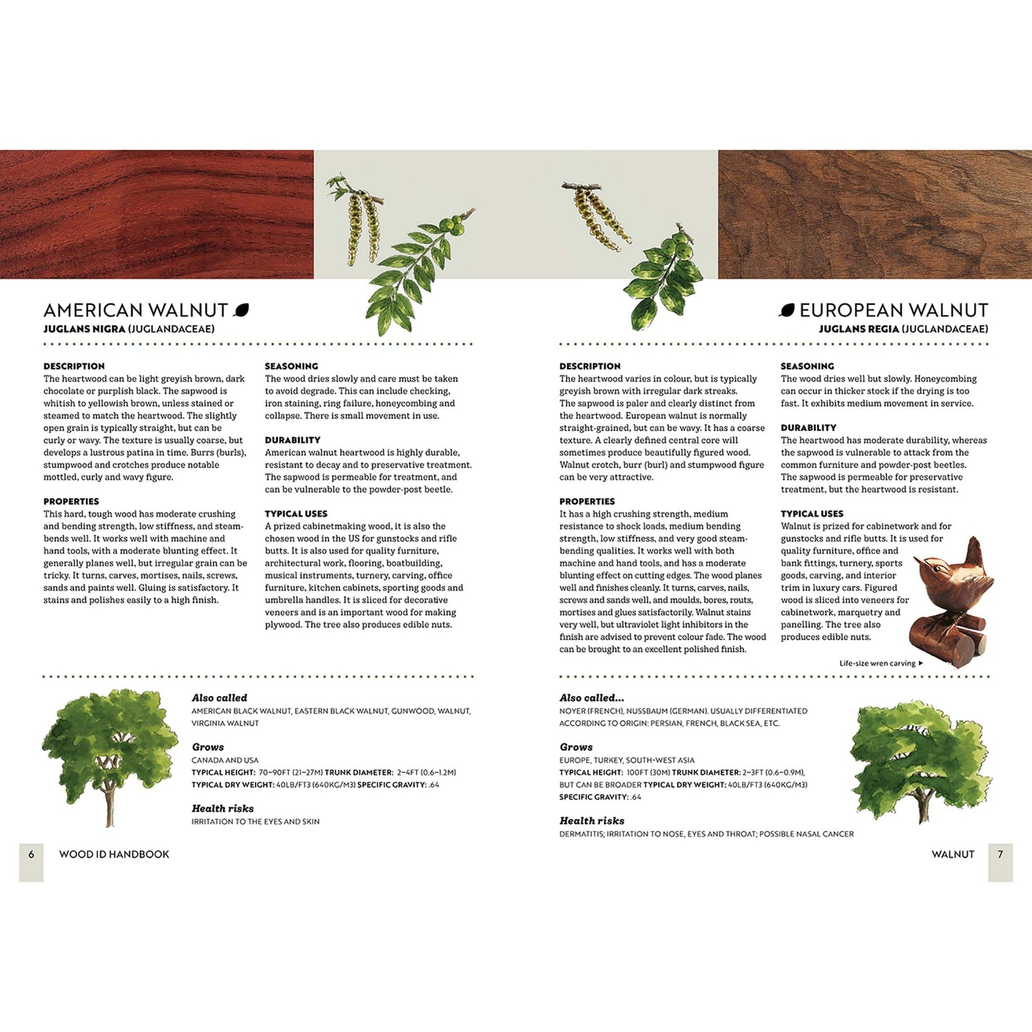 Wood ID Handbook alt 0