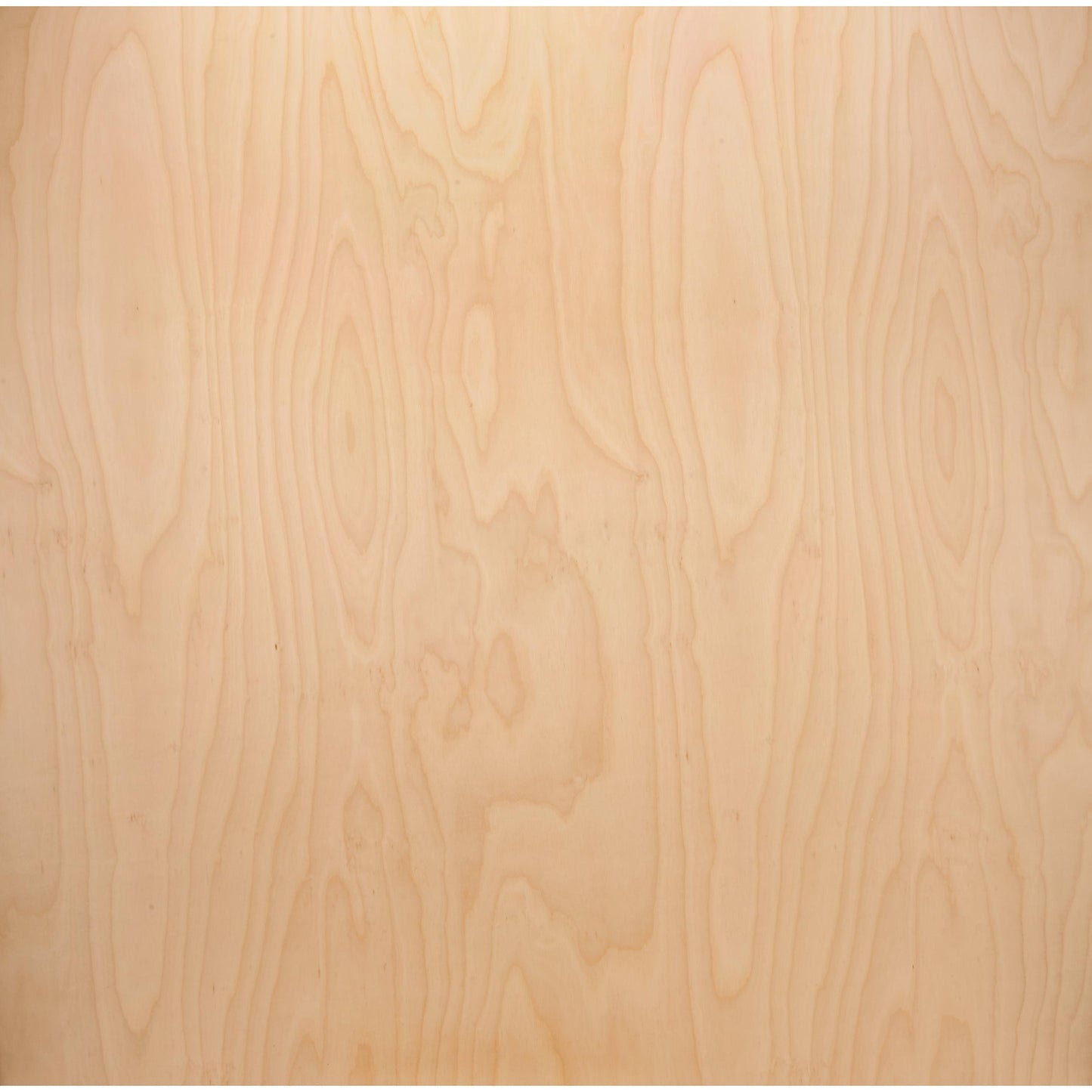 1/2" x 48" x 48" American Birch Plywood alt 0