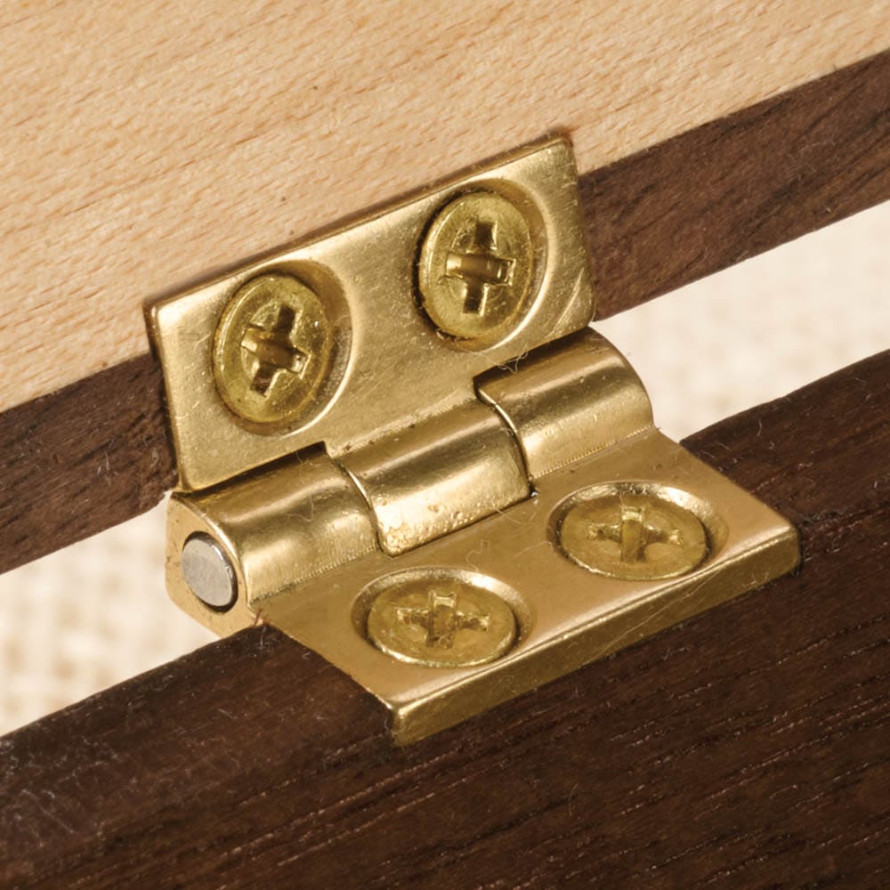 Small Brass Box Hinge - 1 Pair