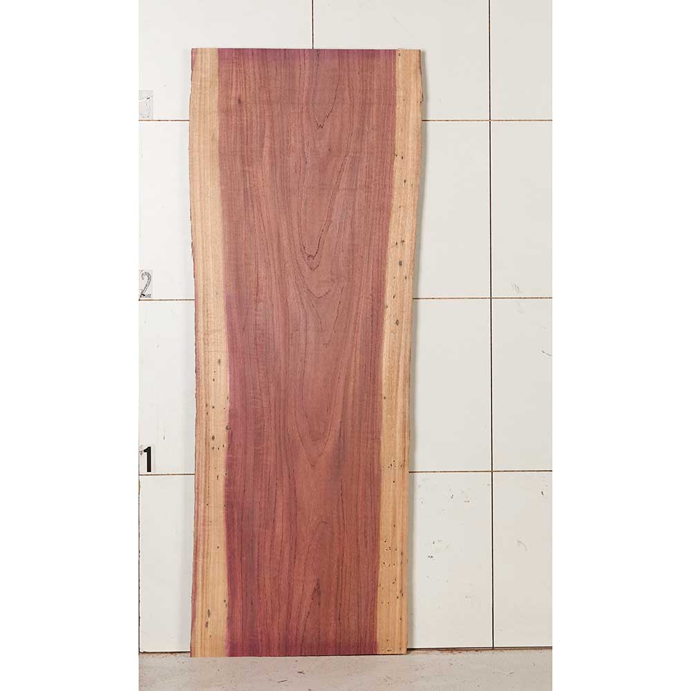 198835.1