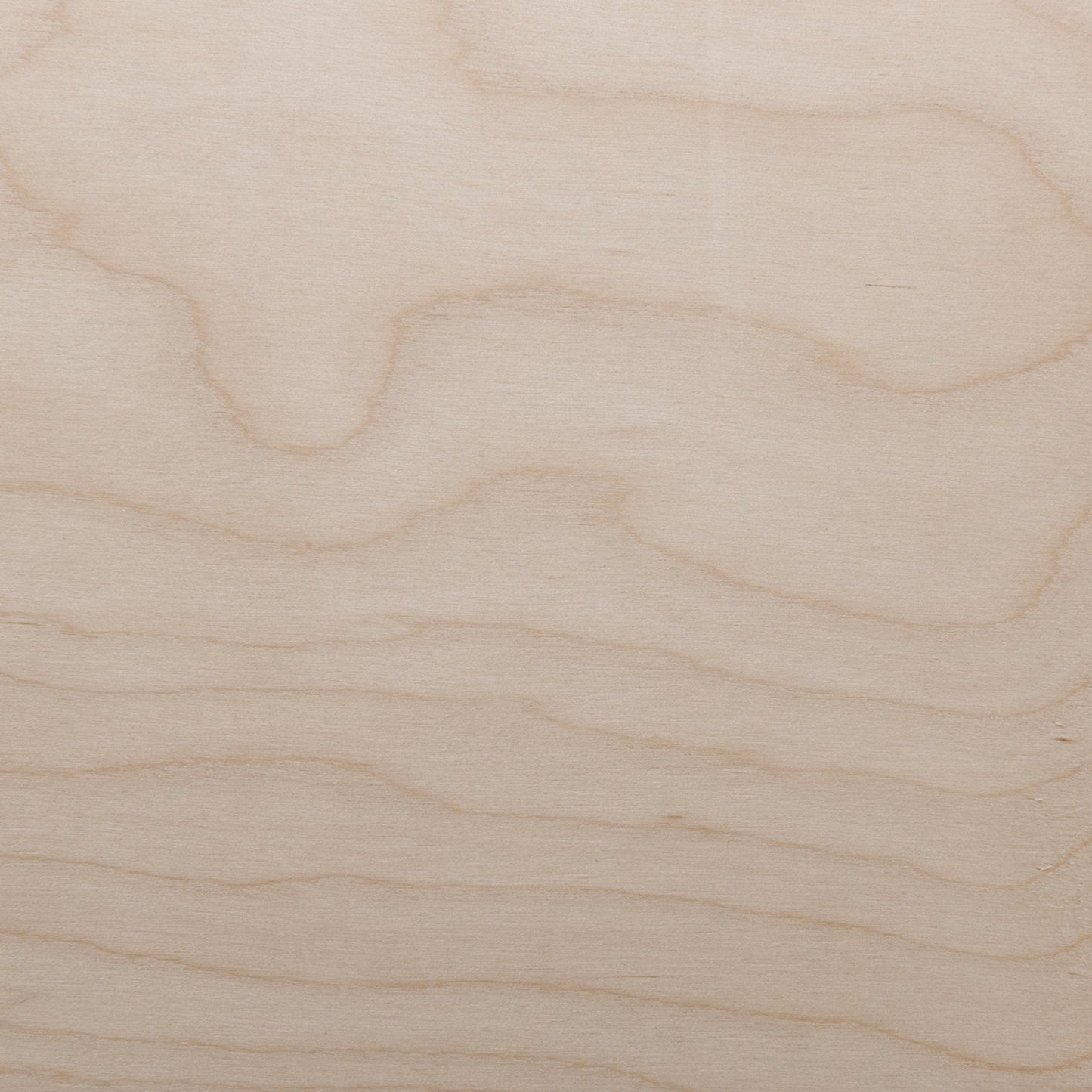 Birch Wht VNR Rtry 4x8 3M PSA alt 0