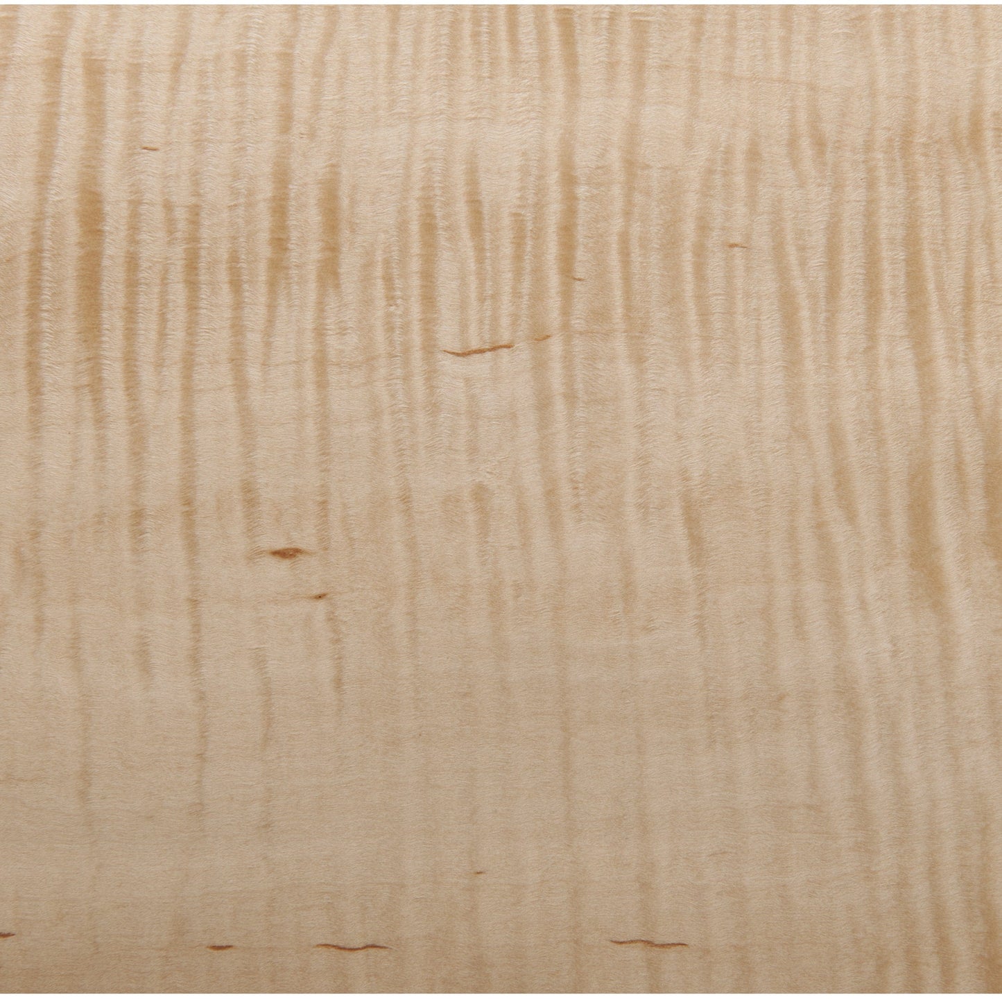 Maple Fig HCrl VNR 4x8 3M PSA alt 0