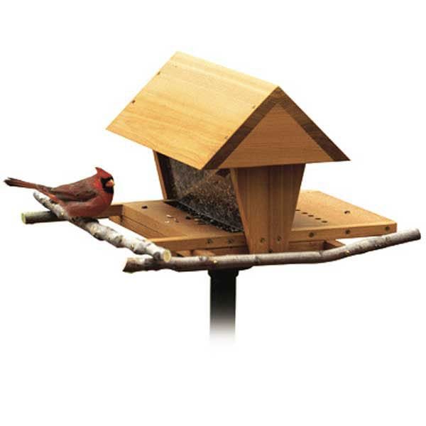 Snack Shop Bird Feeder Plan alt 0