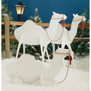 Woodworking Project Paper Plan to Build Camels alt 0