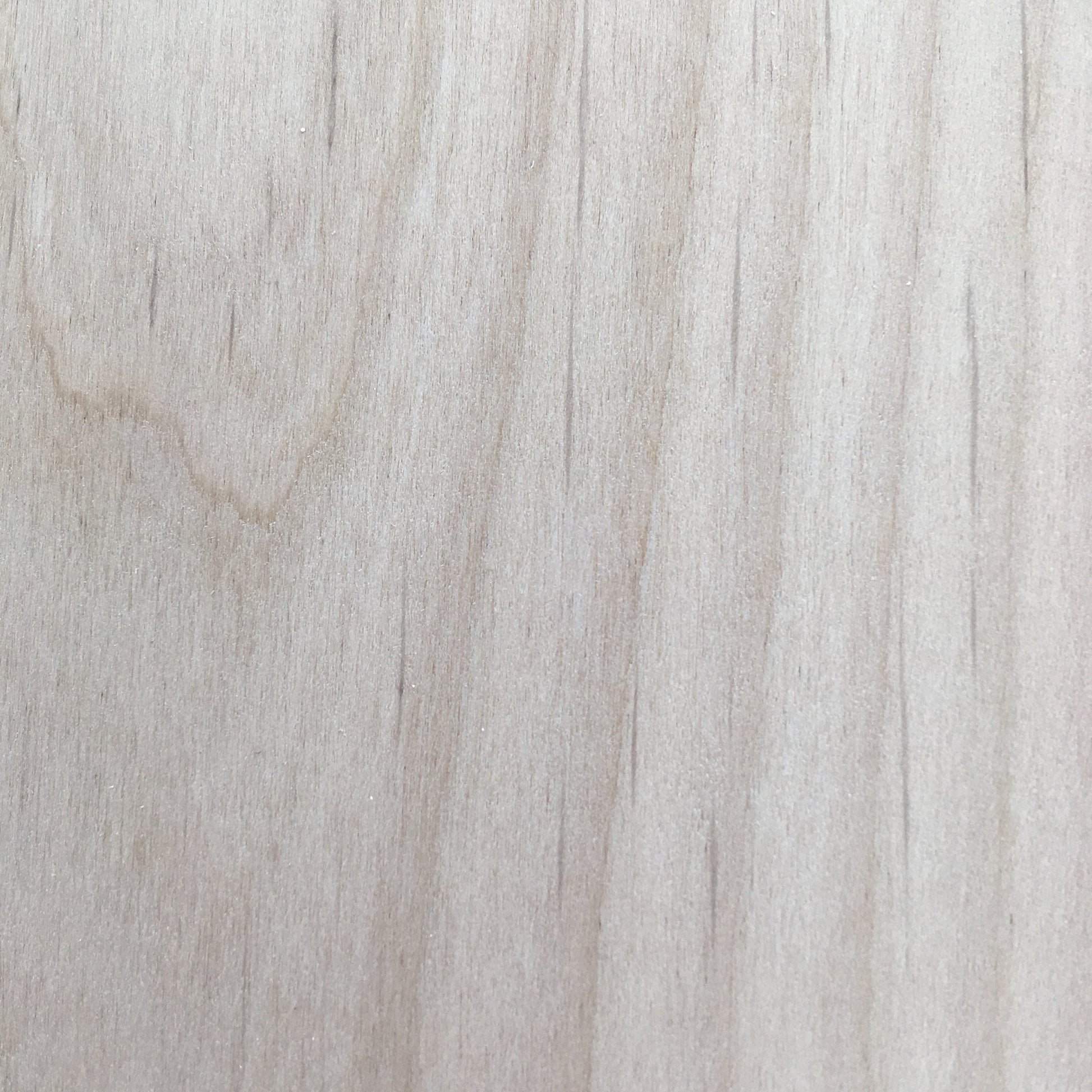 Square bun feet - 1 pair, Style 7, 4.5"H - Clear Alder alt 1