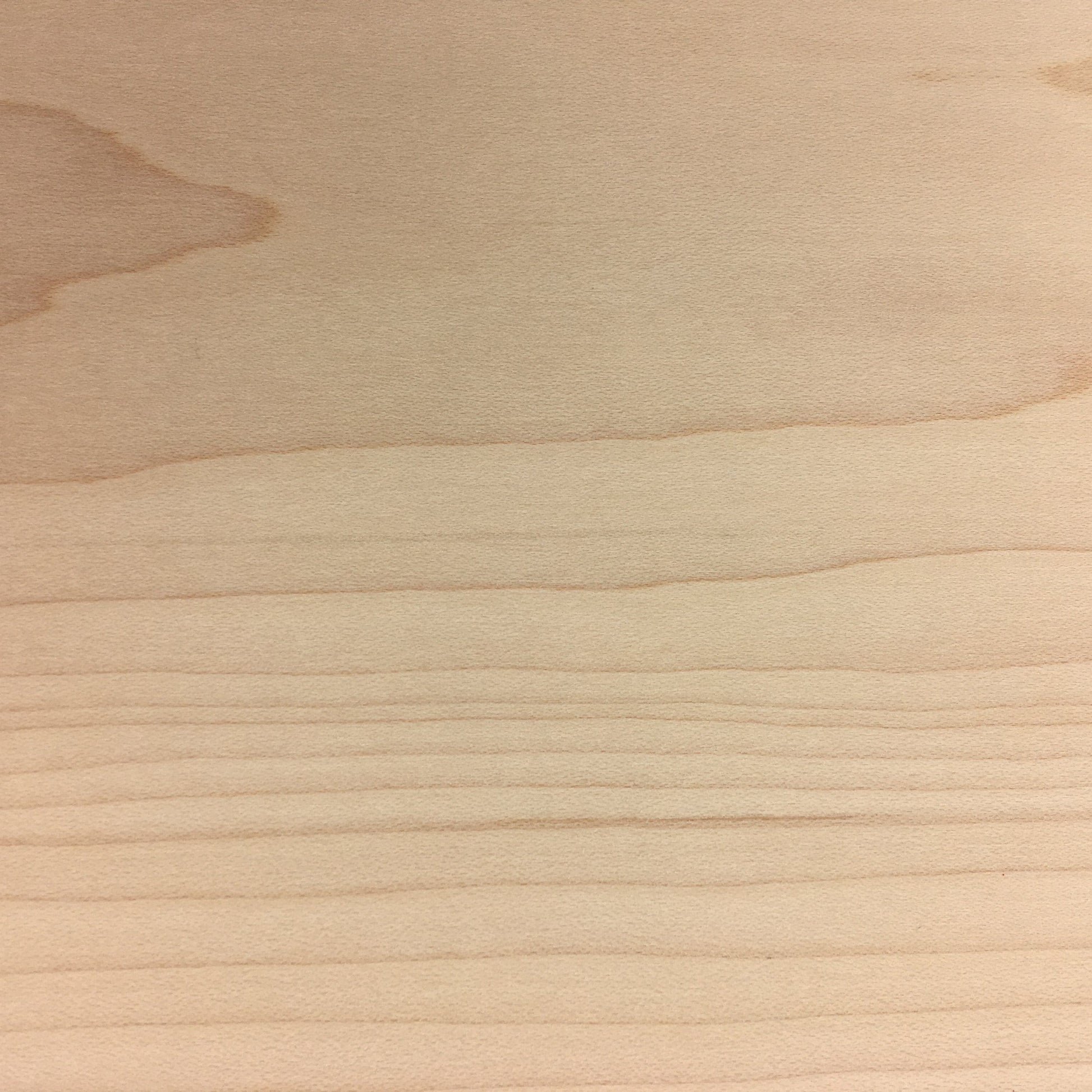 Square bun feet - 1 pair, Style 7, 4.5"H - Hard Maple alt 1