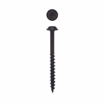 10x2 WH Black Screws 100 pc alt 0