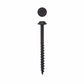 10x2-1/2 WH Black Screws 100 pc alt 0