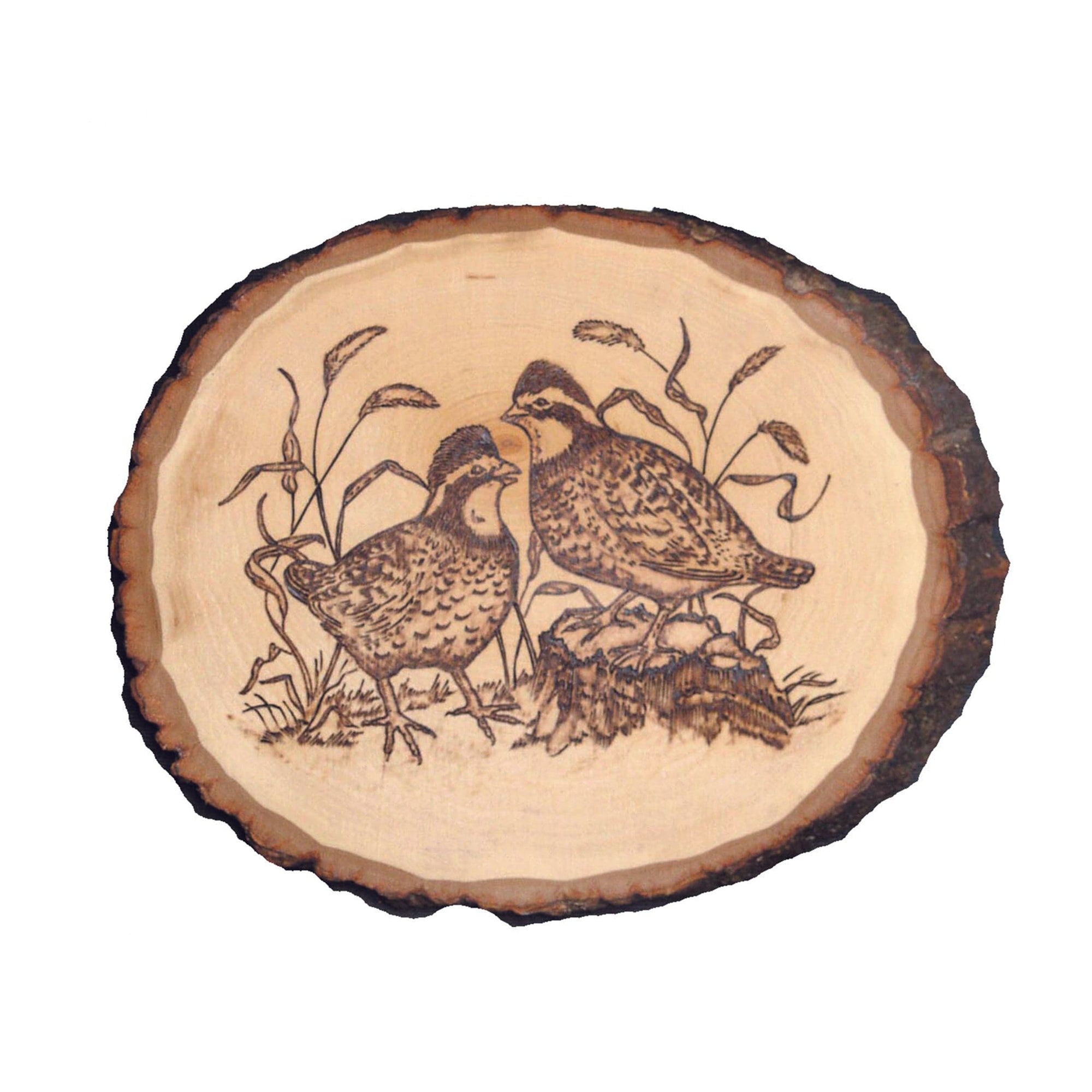 Basswood Country Rounds for Wood Burning, Hot Stamping & Carving - Medium alt 7