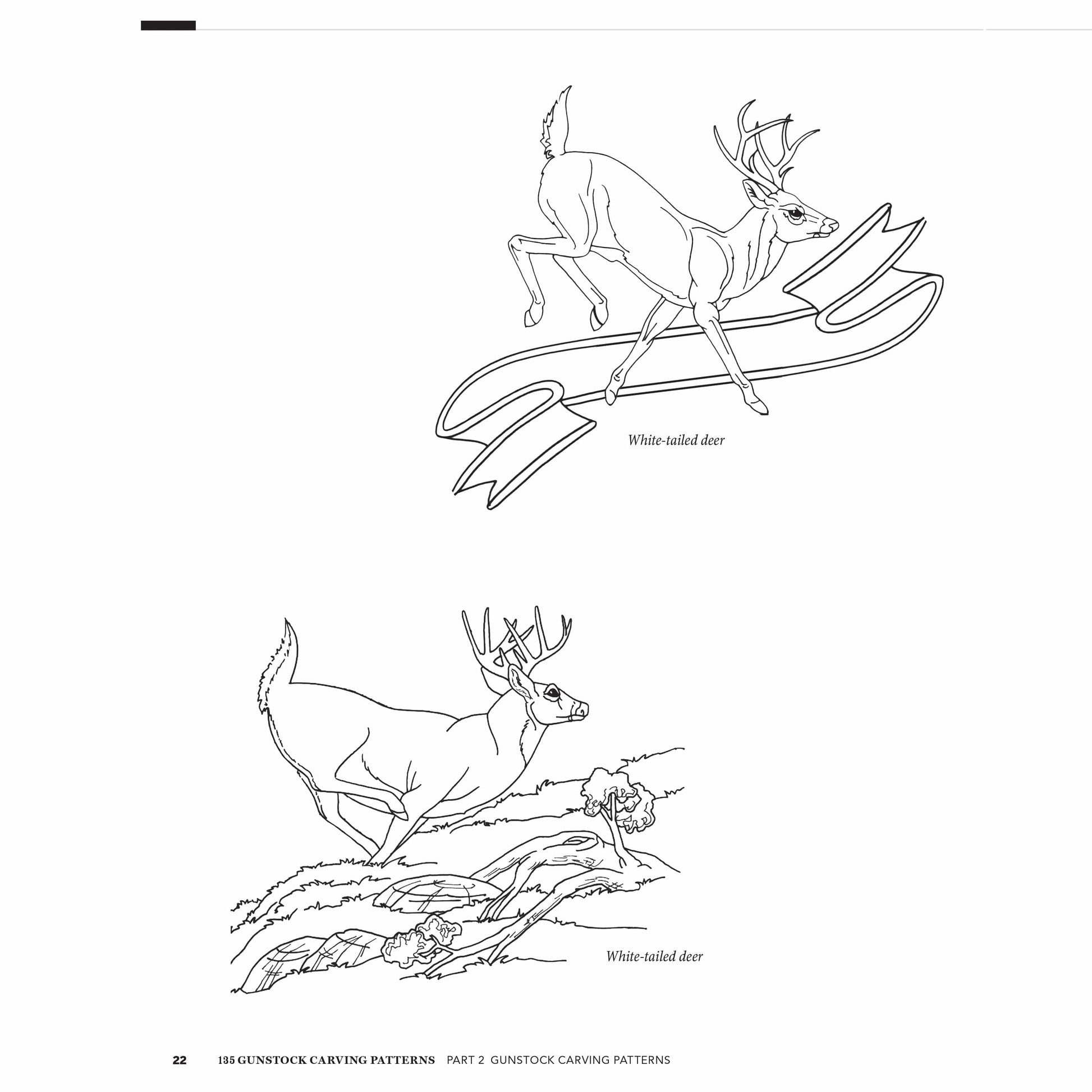 Fox Chapel 135 Gunstock Carving Patterns | Woodcraft Fox Chapel 135 Gunstock Carving Patterns | Woodcraft