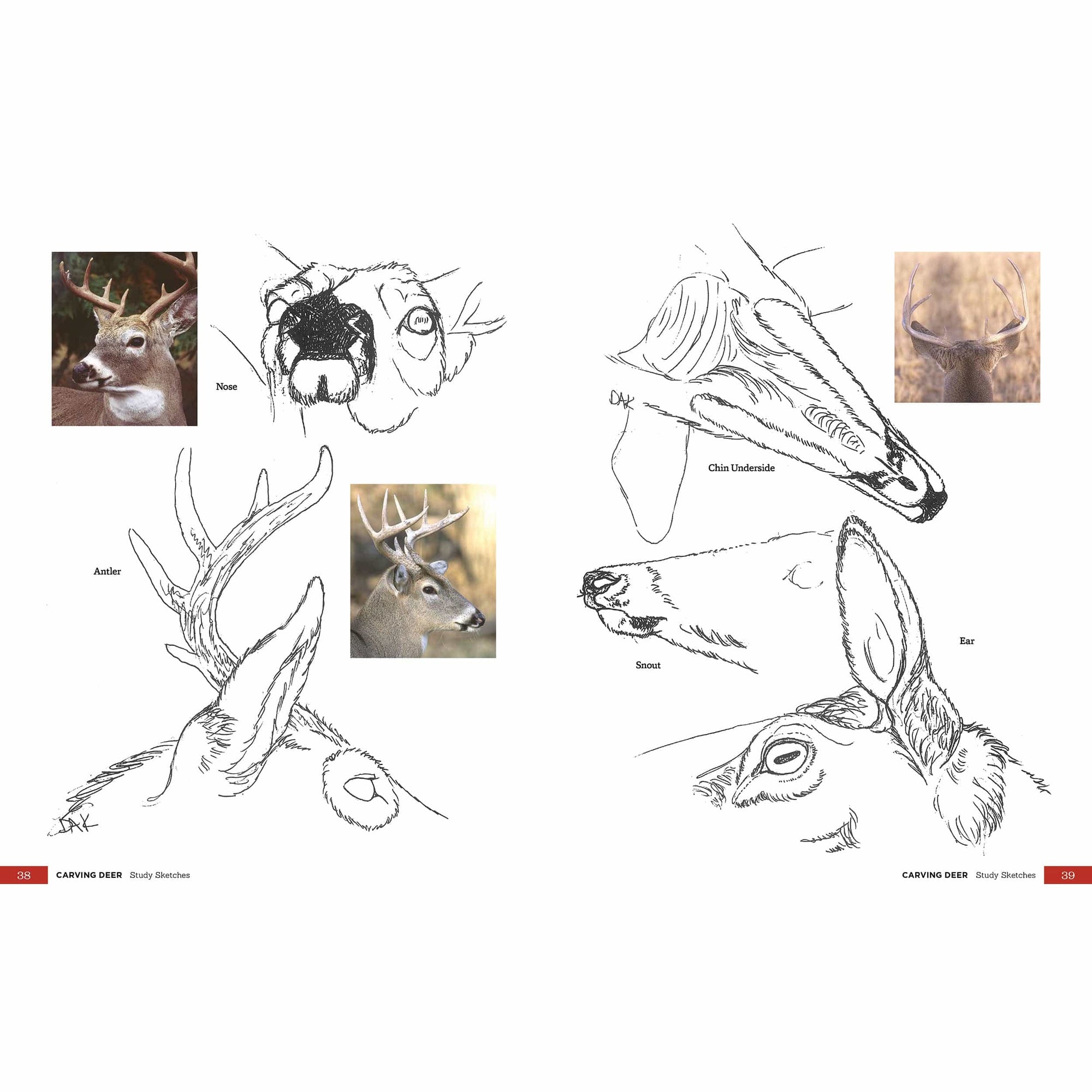 Carving Deer alt 0
