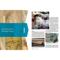Spalted Wood: The History, Science, and Art of a Unique Material alt 0