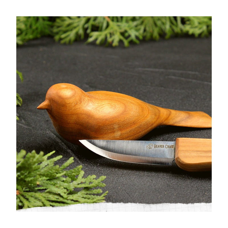 314_Bird.jpg