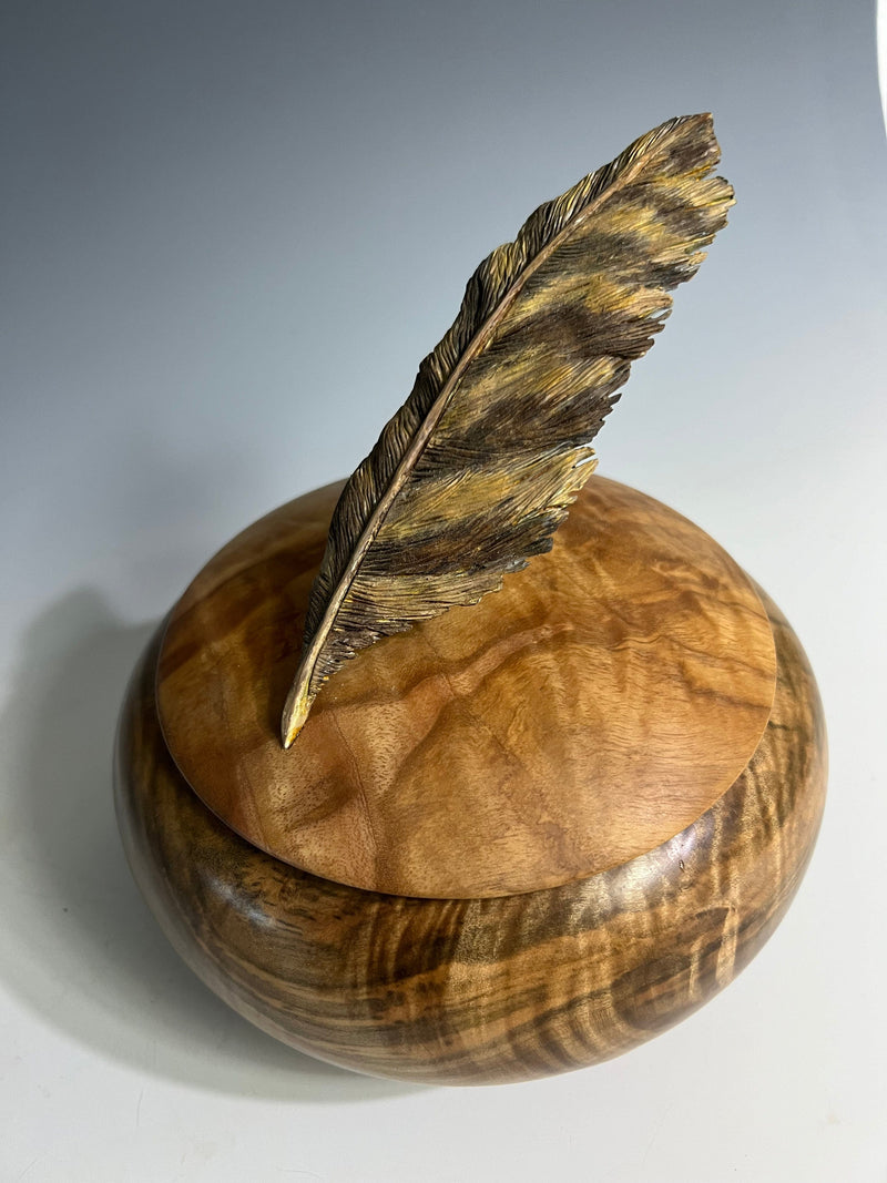 503_Feather4.jpg