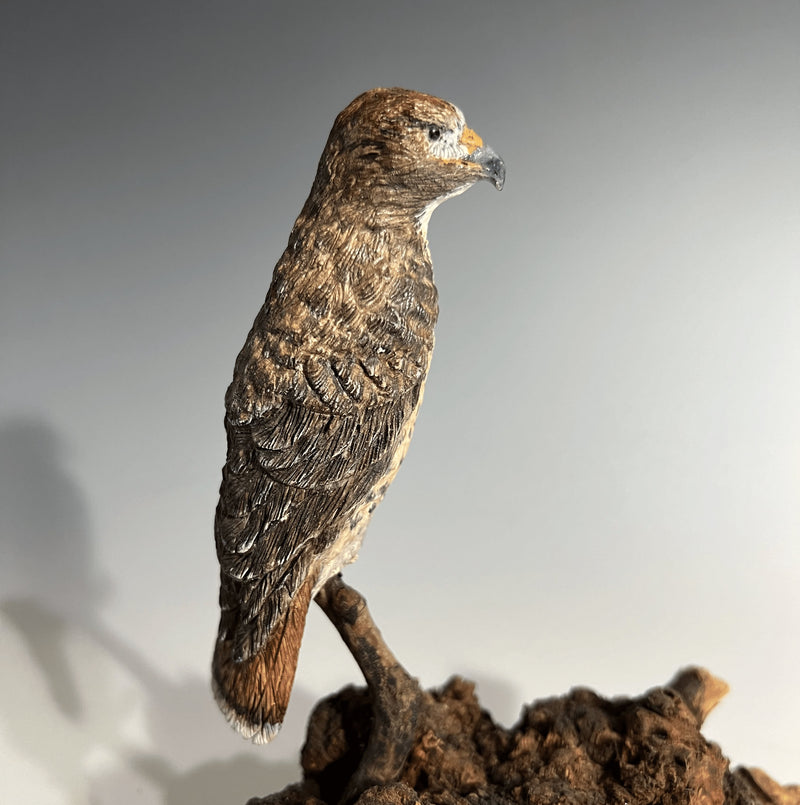 503_Hawk.png