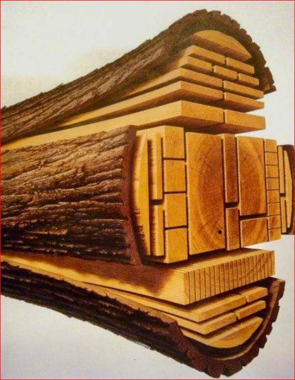 101_Intro_to_wood.jpg