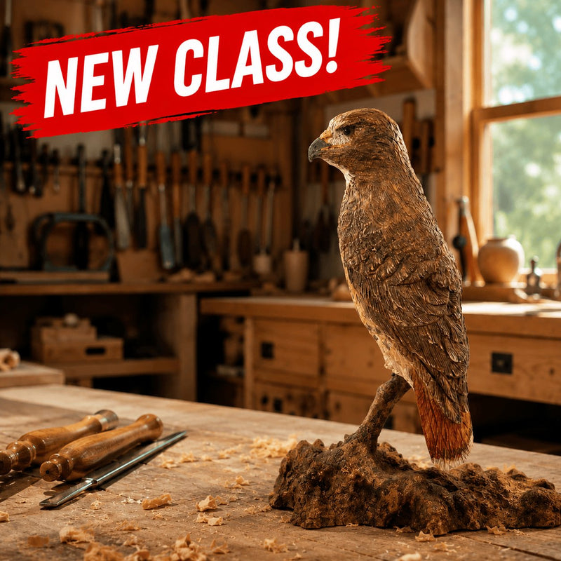 503_Little_Hawk_02_-_New.png