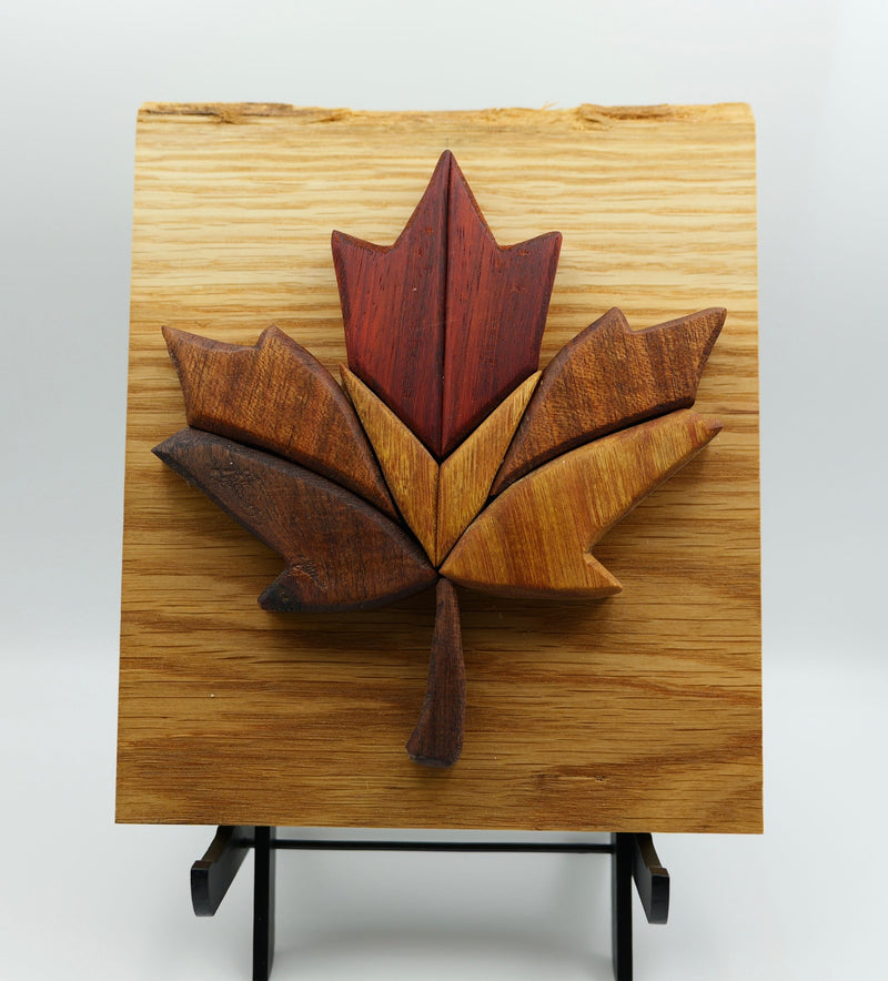 587_Maple_Leaf.jpg