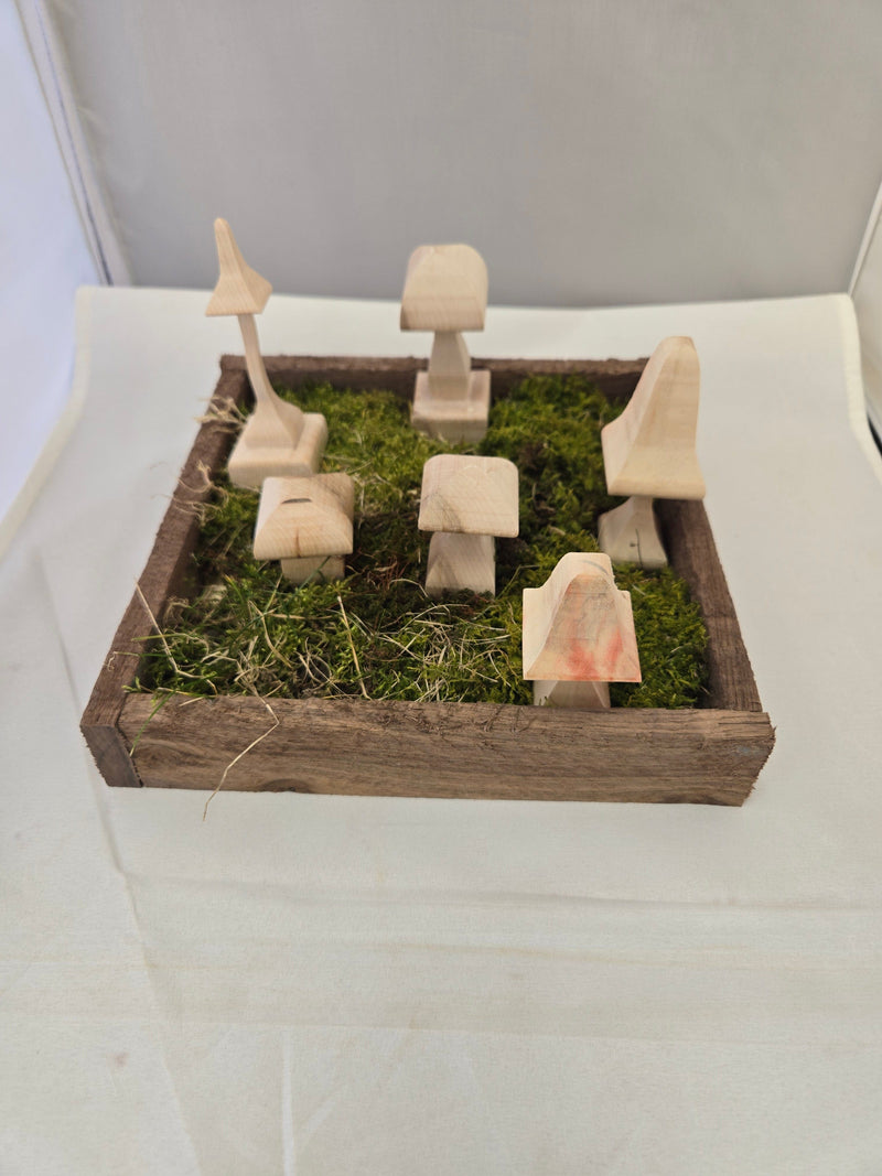 Woodcraft of Cleveland Classes