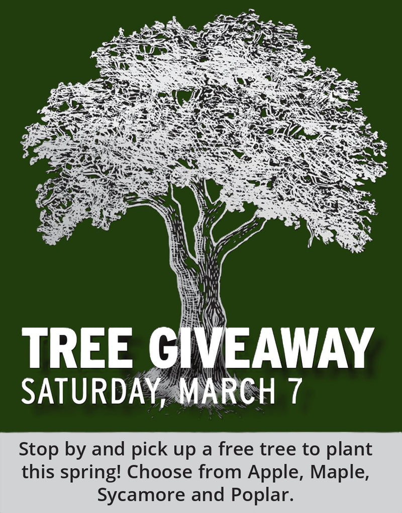 556_Tree_Giveaway.png