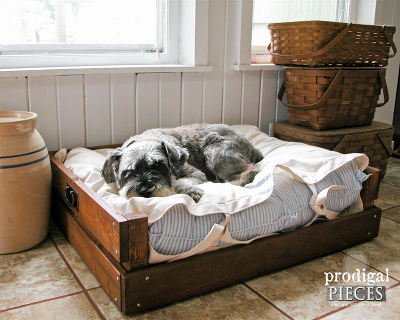 325_dog_bed.jpg