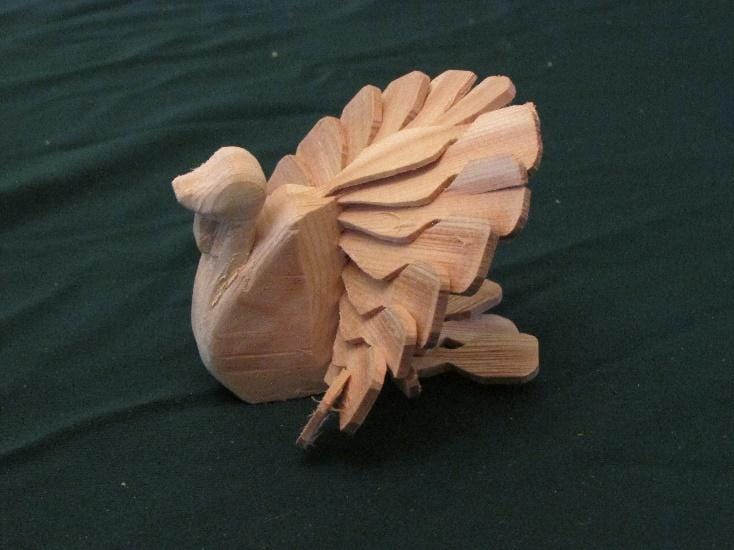 101_fan_bird.jpg