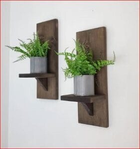 101_wall_plant_hanger.jpg