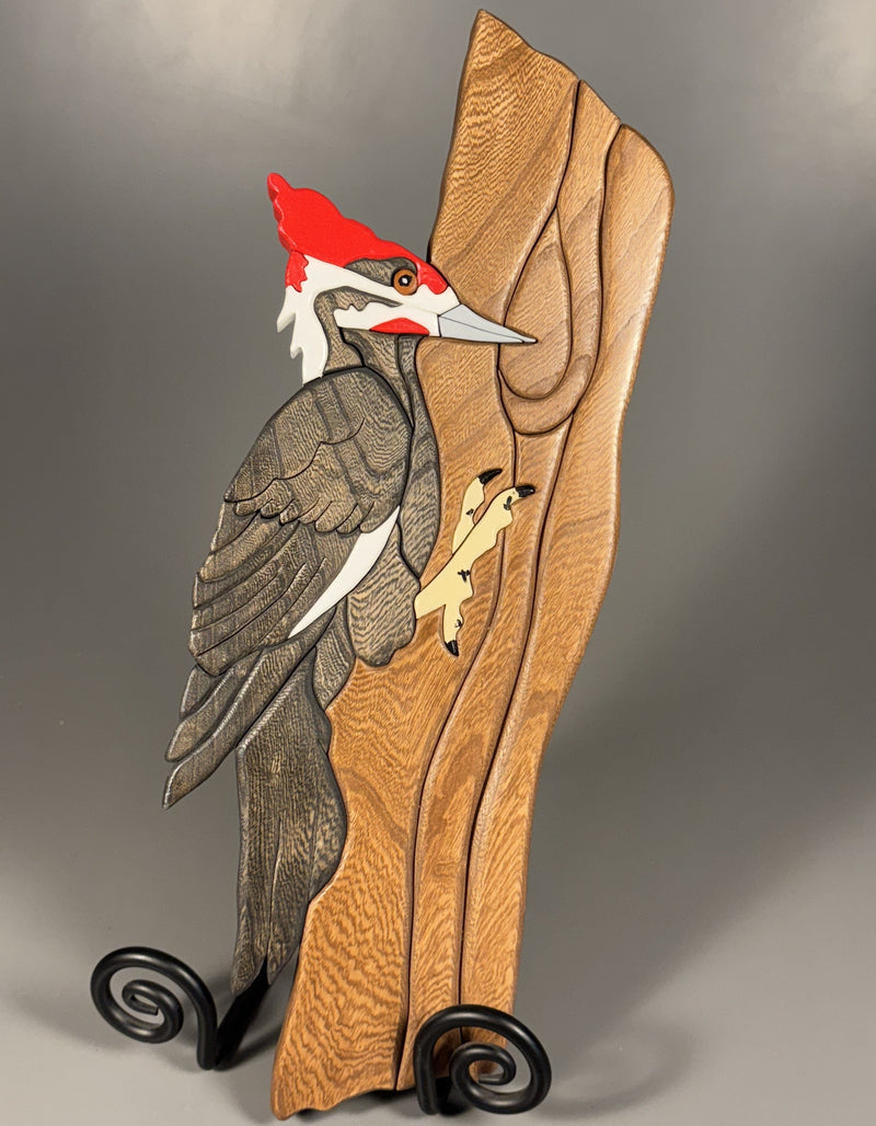 506_woodpecker.jpg